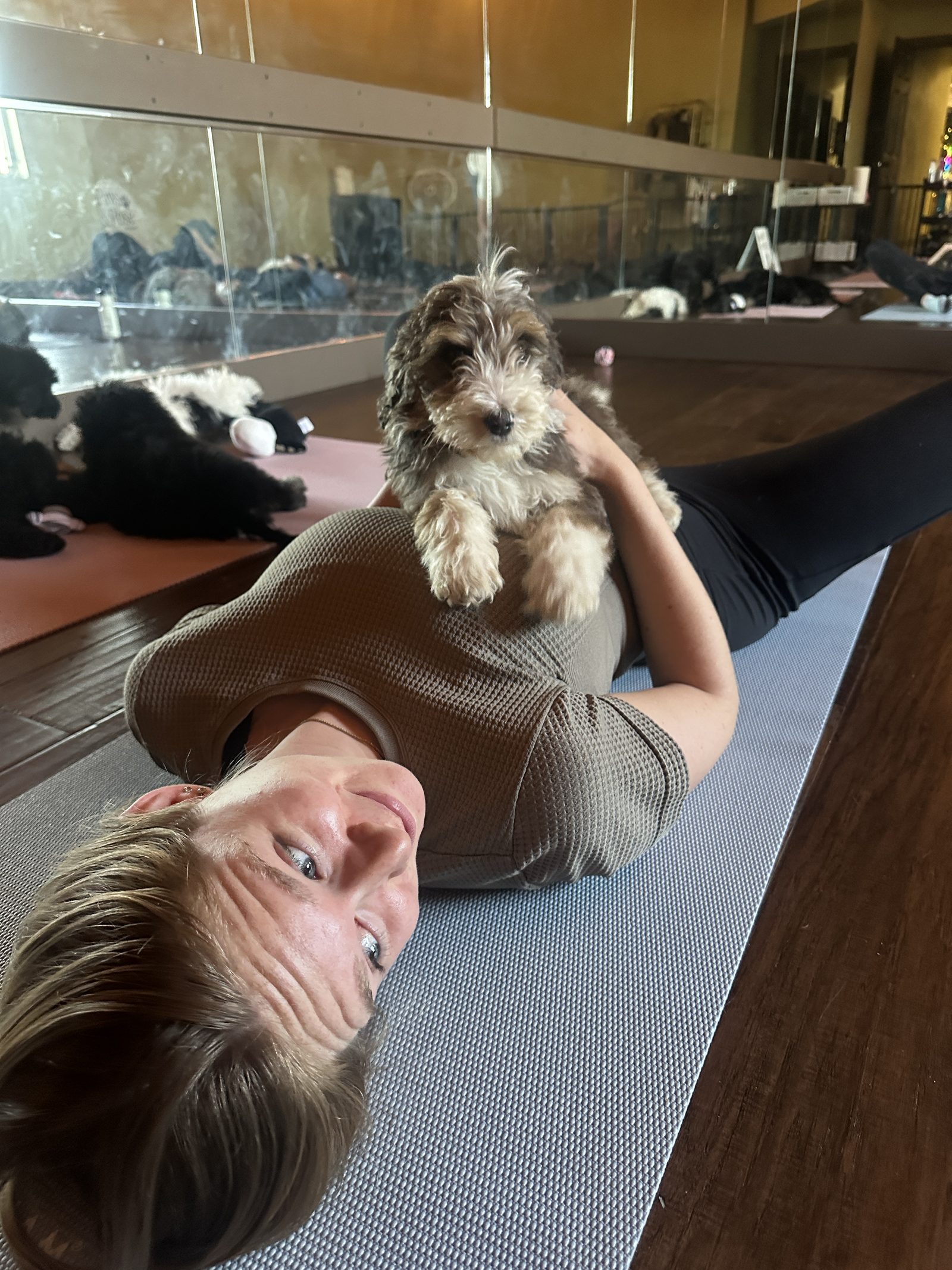 A guest laughing on her mat with a fluffy puppy perched on her chest during a Paws & Pose class