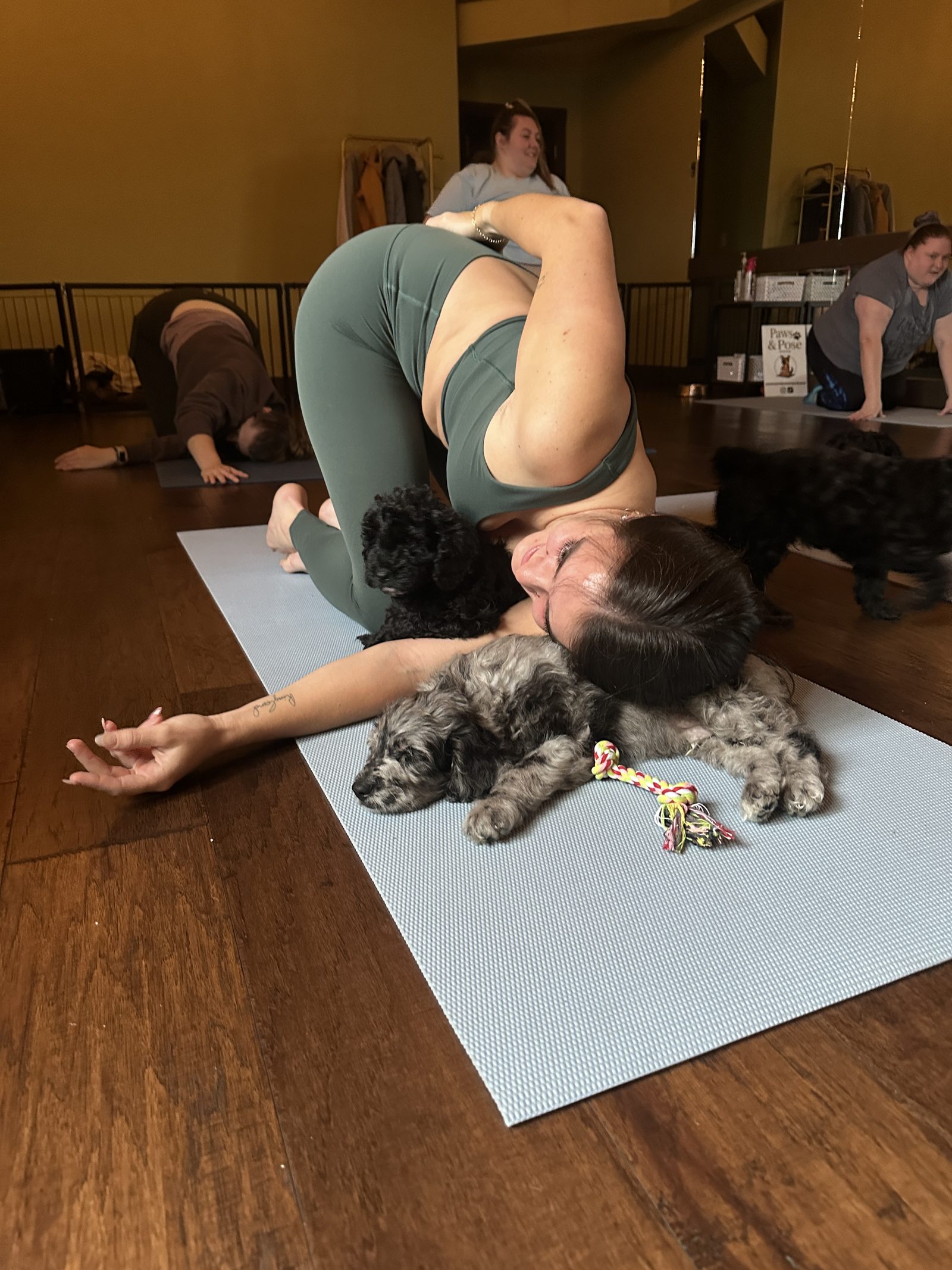 A guest in child's pose, face to face with two puppies resting on her mat