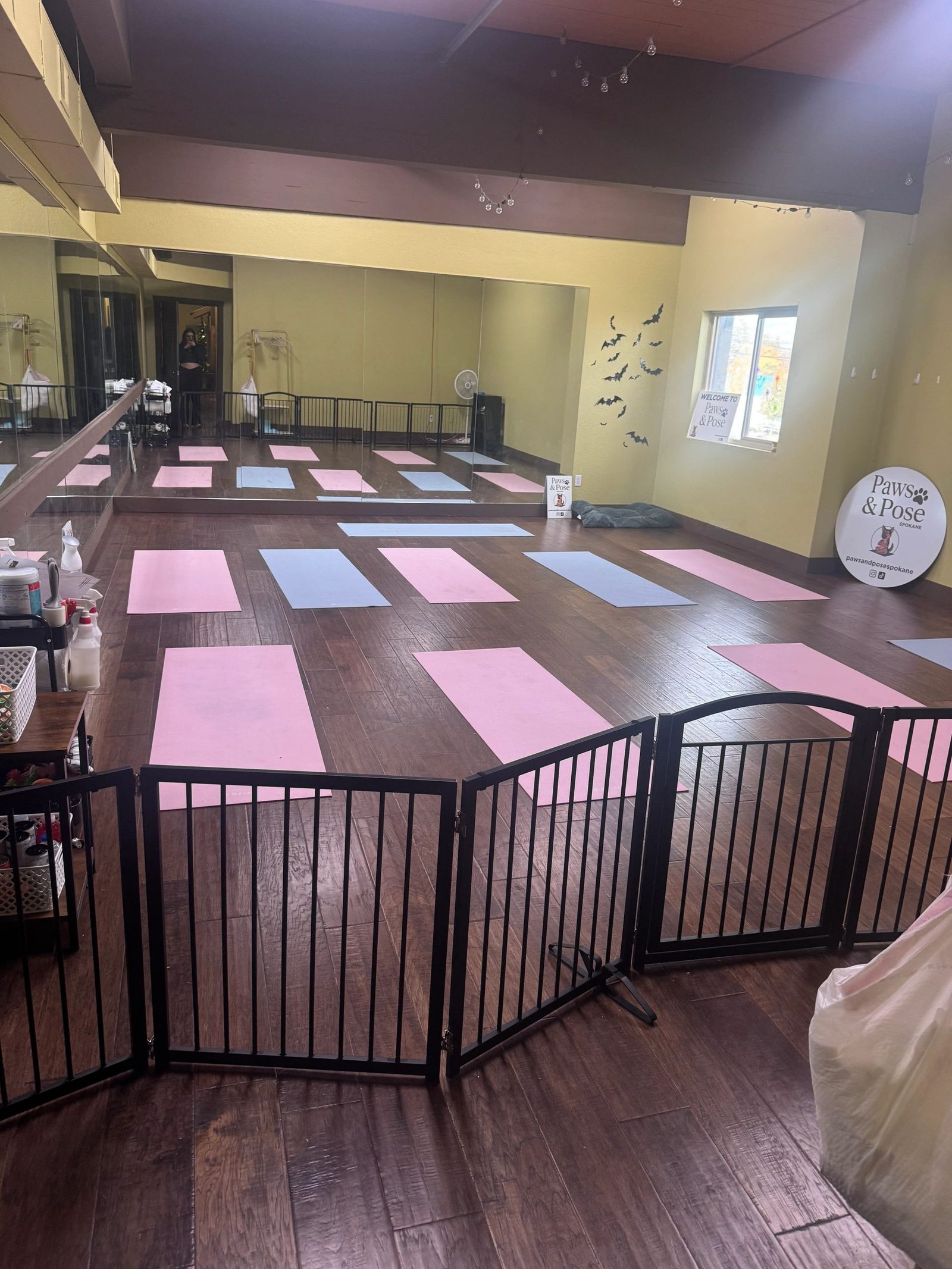 The Paws & Pose studio set up with mats before class