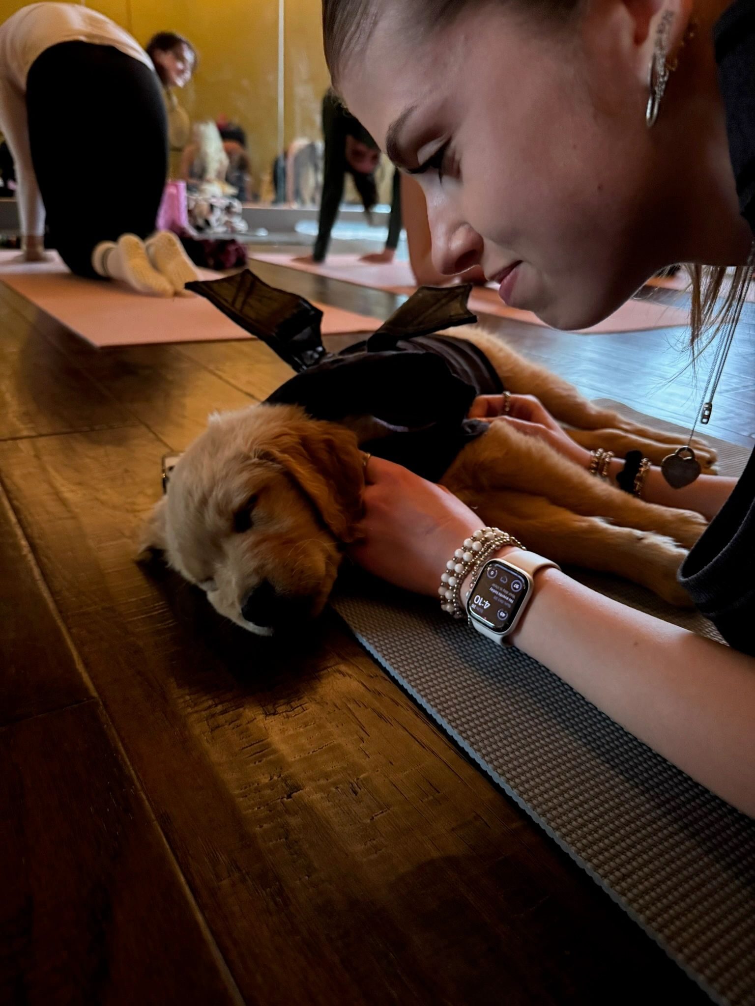 A guest resting beside a sleeping puppy mid-class