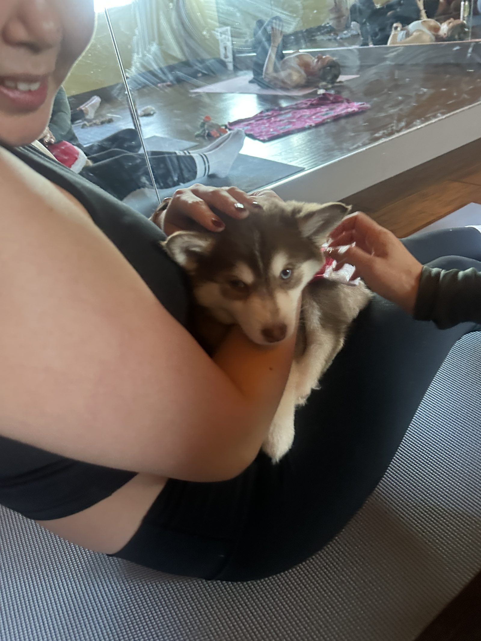 A smiling guest cuddling a husky puppy between poses